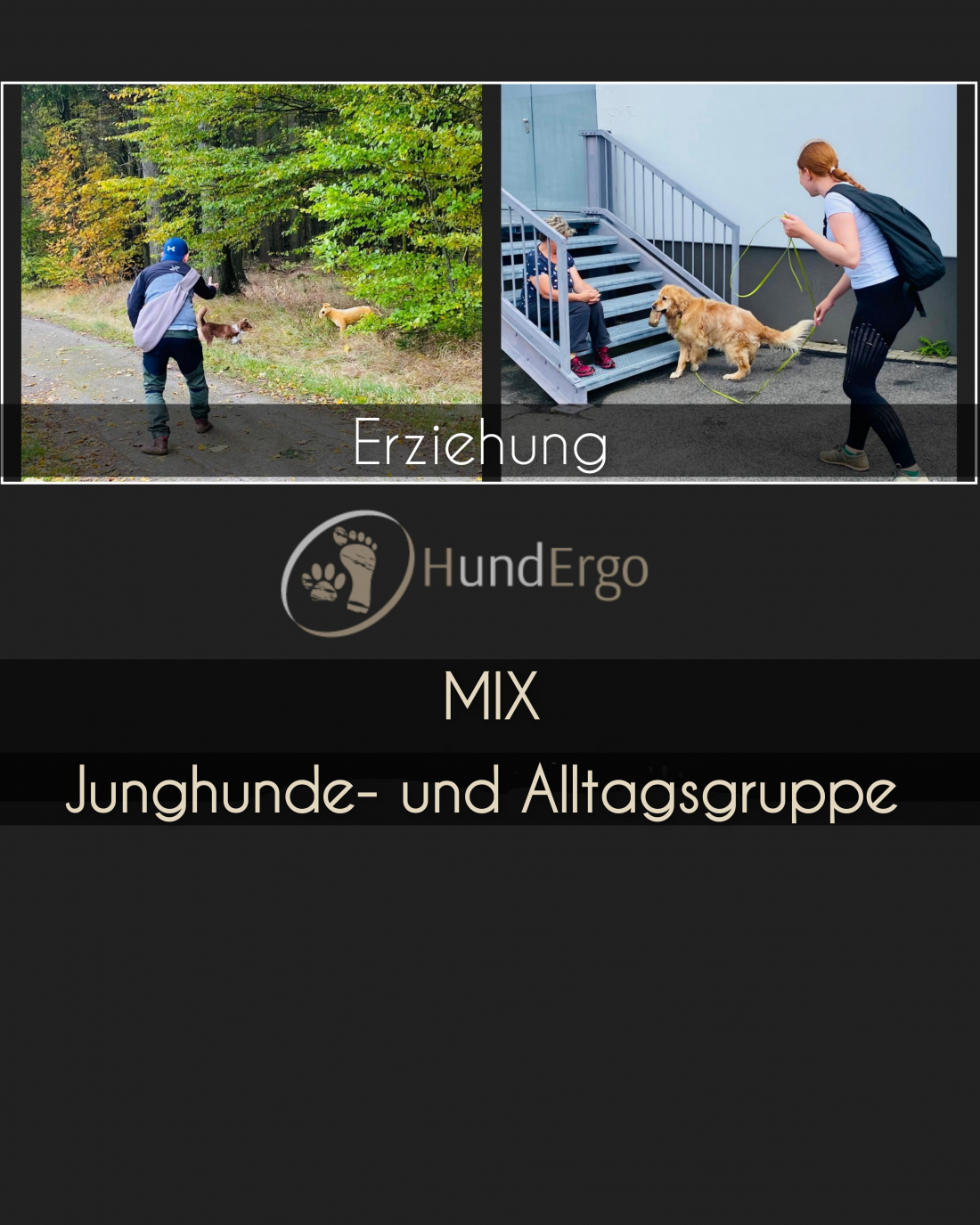 Erziehung - Mix Junghunde- und Alltagsgruppe