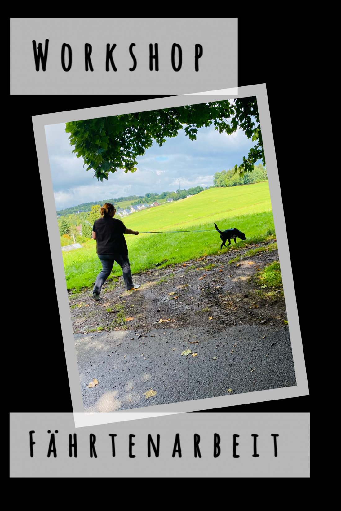 Workshop - Fährtenarbeit