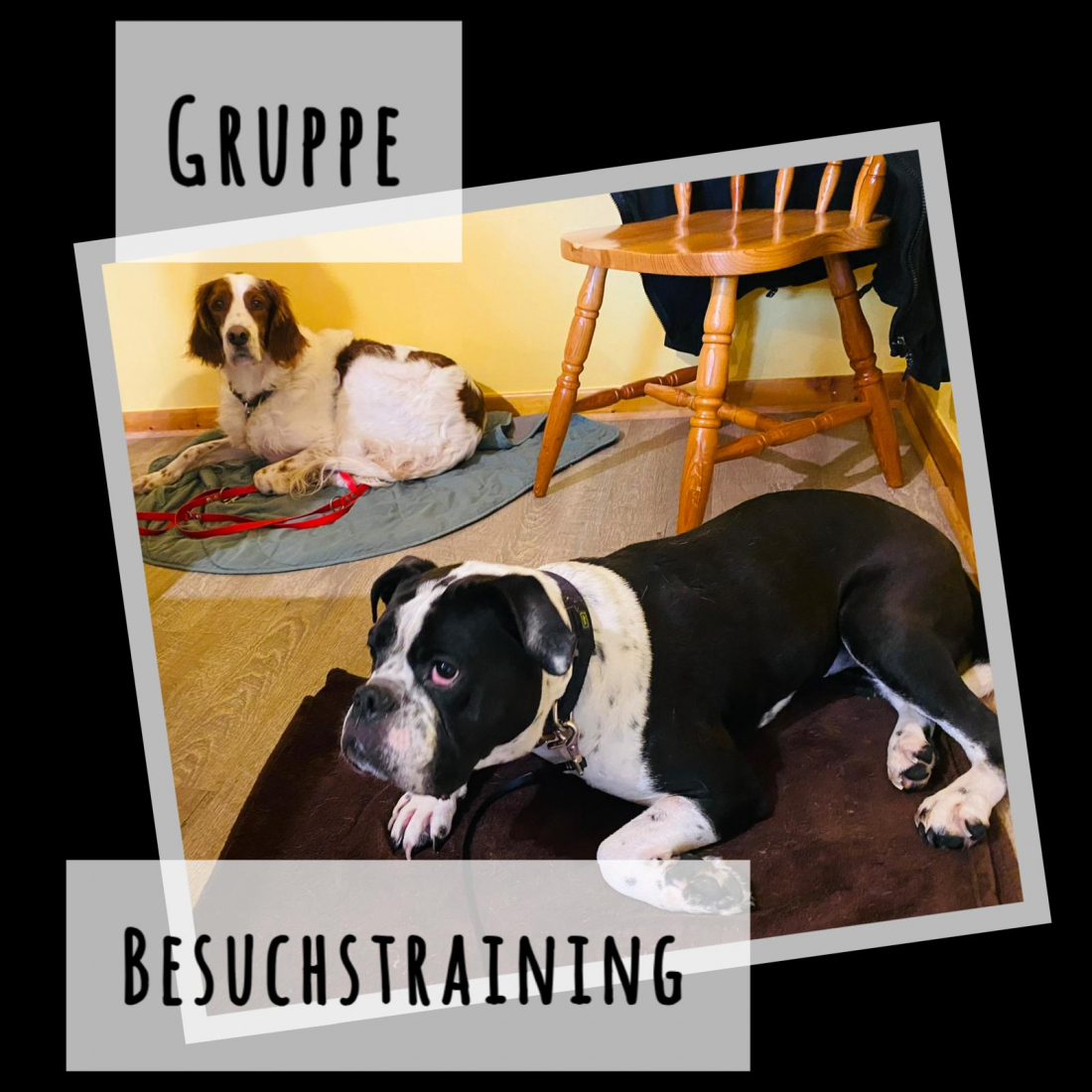 Gruppe - Besuchstraining