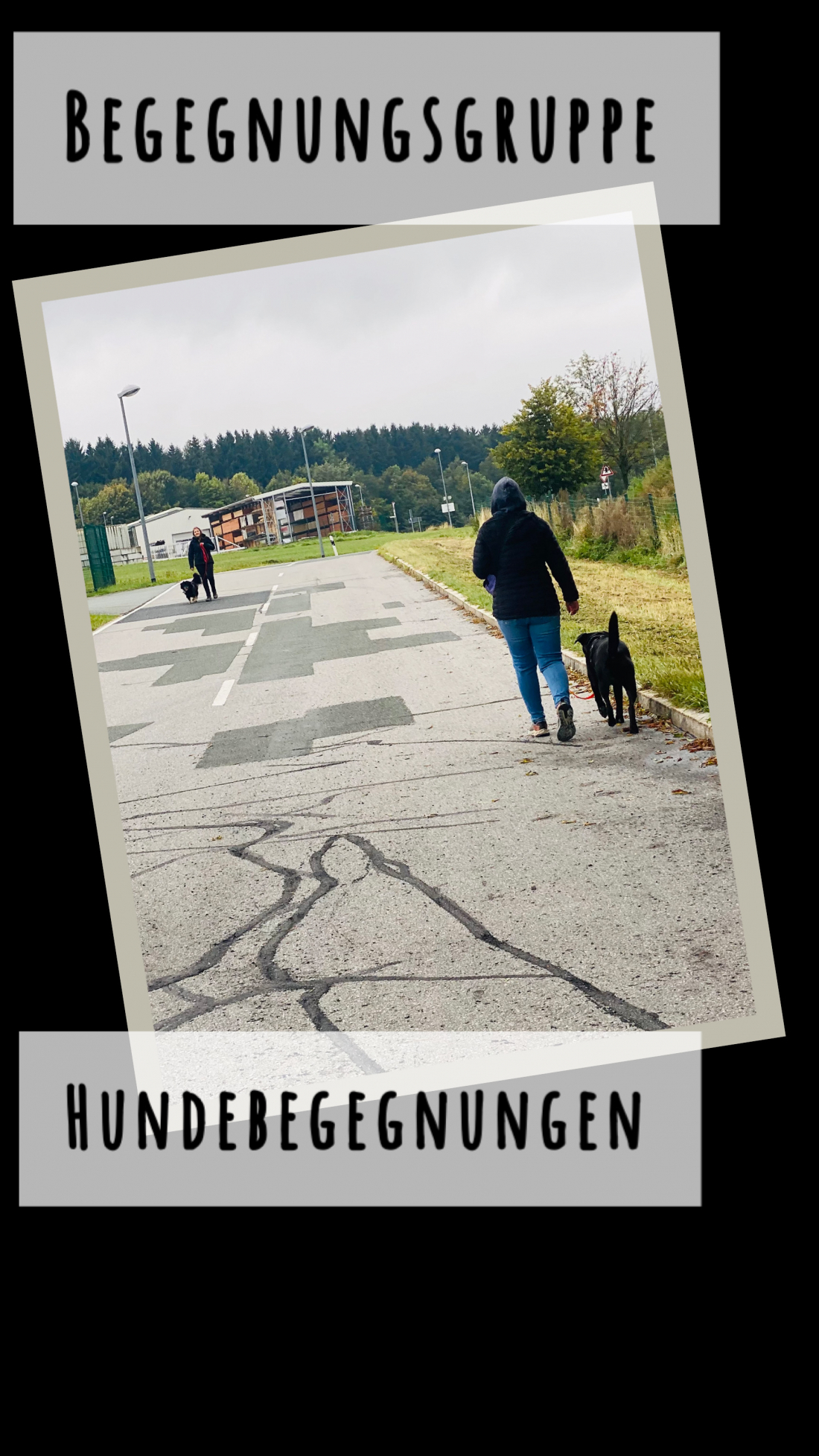 Hundebegegnungen