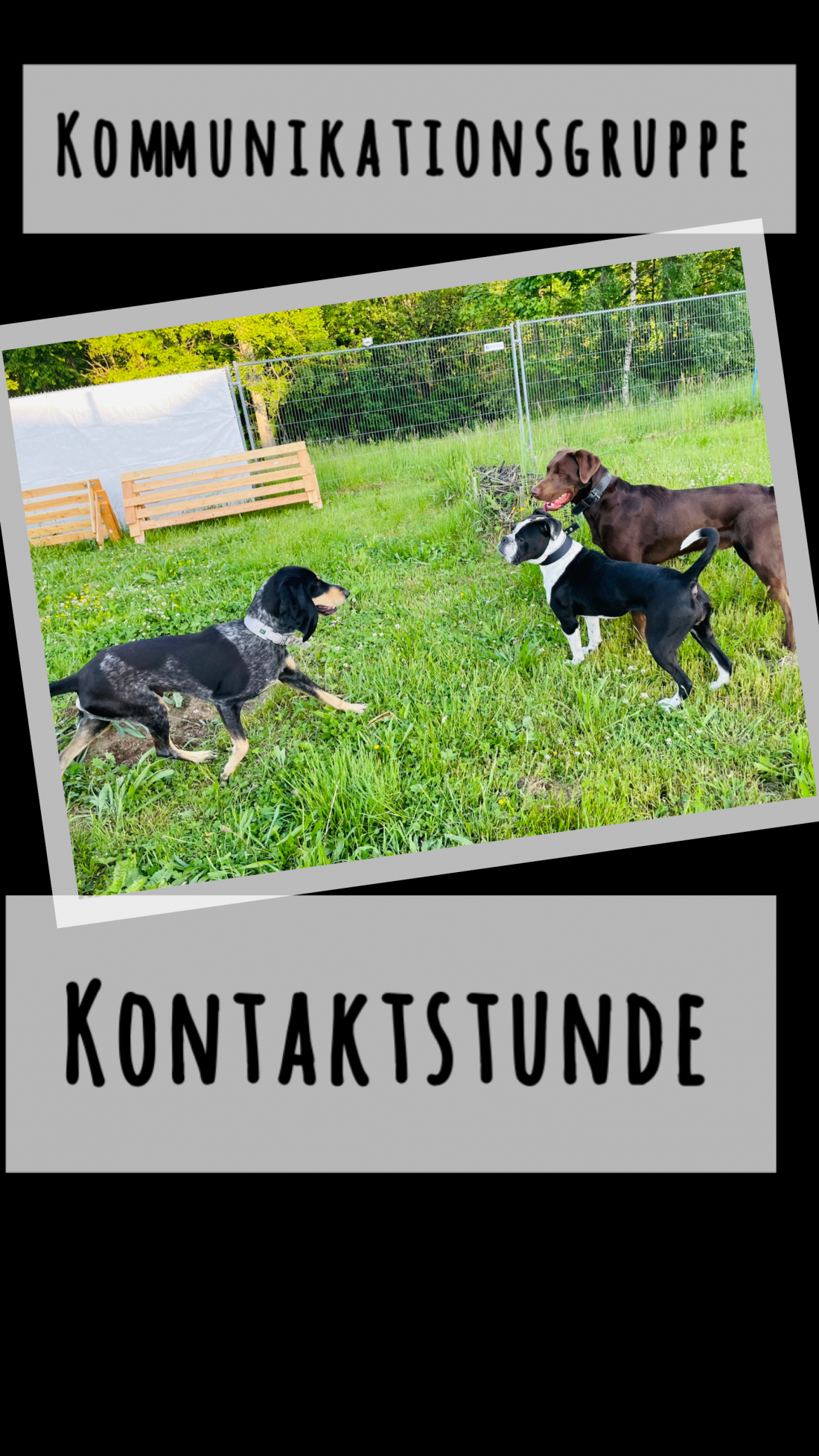 Kontaktstunde