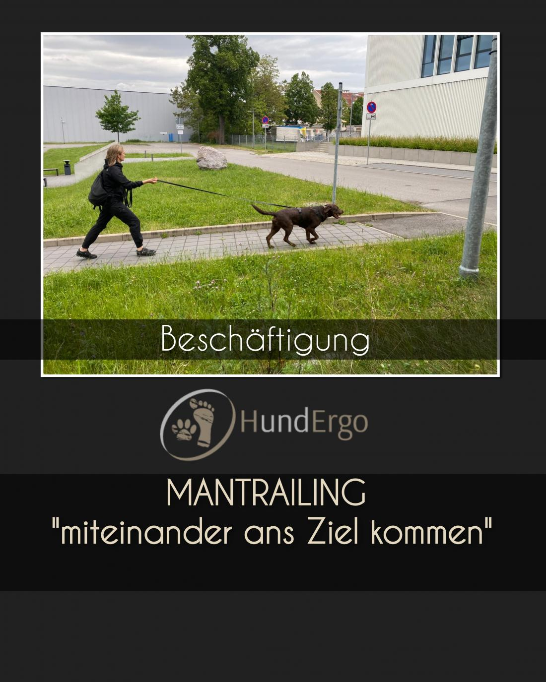 Beschäftigung - Mantrailing